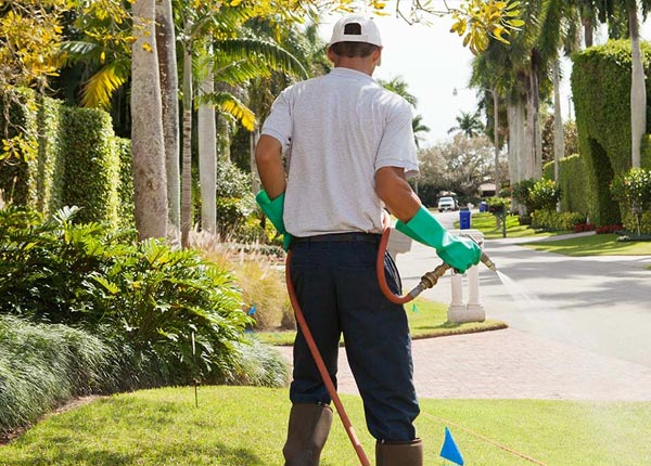 About Dora NM Pest Control